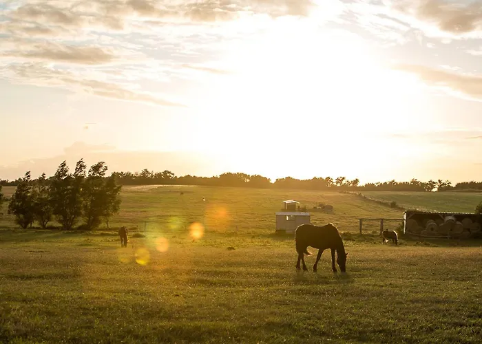 Seeadler 34 펜션 *